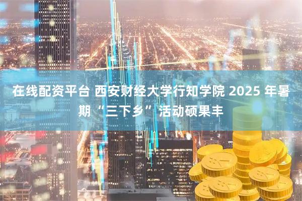 在线配资平台 西安财经大学行知学院 2025 年暑期 “三下乡” 活动硕果丰