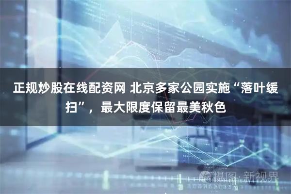正规炒股在线配资网 北京多家公园实施“落叶缓扫”，最大限度保留最美秋色